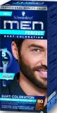 Boja za bradu Men Perfect