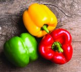 Paprika