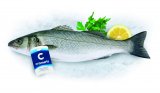 Brancic Cromaris 1 kg