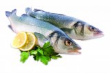 Lubin (300-400 g) svježi 1 kg