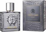 Muški parfem Roberto Cavalli Uomo Silver Essence - edt 40 ml