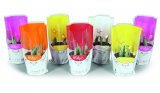 Tulipan Ø10,5 cm