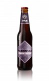 Pivo Panonska Dark lager Pan 0,33 L