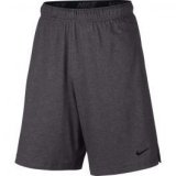 Nike 842267, muške fitnes hlače, siva