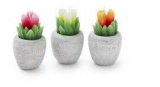 Svijeća u čašici u obliku tulipana