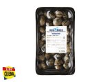 Svježe vongole