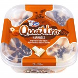 Obiteljski sladoled Ledo Quattro 1650 ml