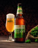 Pivo Hoppy 0,5 L