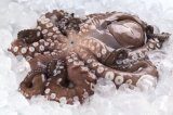 Hobotnica očišcena 1 kg