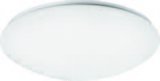 Plafonjera Rabalux 2637 OLLIE LED