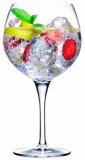 Čaša za gin & tonic Primeur 6/1