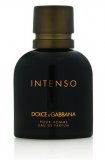 Dolce&Gabana Pour Homme Intenso eau de parfum 40 ml