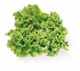 Salata Kristal