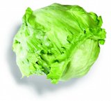 Salata Iceberg 1 kg