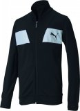 Trenirka Puma