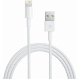 Apple Lightning na usb kabel (1 m)