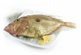 Riba kovač 1 kg