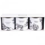 Set začina za gin Kofer 90 g