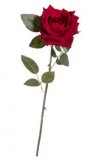 Ruža velvet crvena