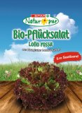 Bio sjeme Natur Pur