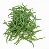 Morska trava salicornia "morske šparoge" 1 kg