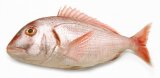 Arbun 1 kg