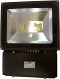 LED reflektor 100W 230V 