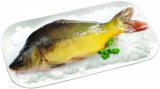Šaran svježi rinfuza 1kg