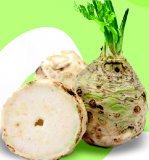Celer Rinfuza 1 kg