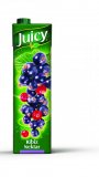 Nektar crni ribiz Juicy 1 l