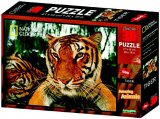 Puzzle 3D 500 komada