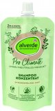 Alverde Pro Climate koncentrat šampon za kosu matičnjak, 100 ml