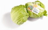 Salata iceberg kom.