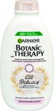 Šampon Botanic Therapy Oat Delicacy Garnier 400 ml
