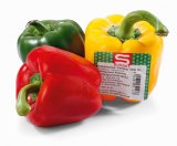 Paprika tri boje S-BUDGET 1 pak