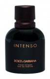 Dolce & Gabbana Intenso Pour Homme edp, 40 ml