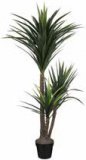 Dekorativna biljka Yucca 120 cm