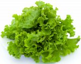 Salata gentile 1 kom.