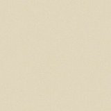PVC TARKETT STELLA ST 1 2M
