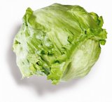 Salata Iceberg Vrtovi Hrvatske