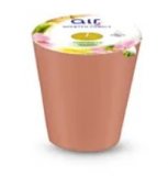 Mirisna svijeća Citronella Air by W5