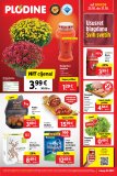 Plodine katalog Akcija 25.10.-31.10.2023.