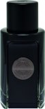 The Icon man edp Antonio Banderas 50 ml