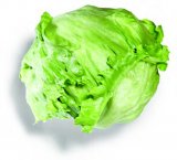Salata Iceberg 1 kom
