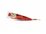Ruža Visina: cca 60 cm