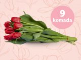 Tulipani rezani buket