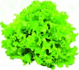 Salata kristal 1 kg