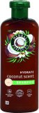 Herbal Essences šampon Coconut 350 ml