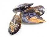Svježe domaće bio dagnje, 1 kg