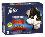 FELIX FANTASTIC 12x85 g